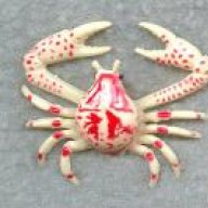 Crab16
